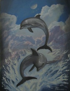 dolphins